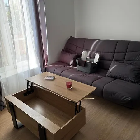 Appartement Le Trefle - Neuf Et Equipe Centre